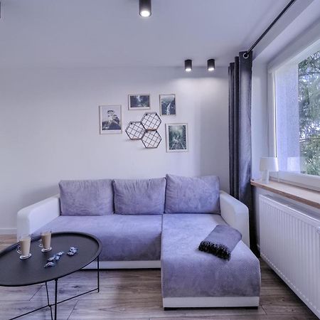 דירות פילה Niron Apartament Dabrowskiego מראה חיצוני תמונה