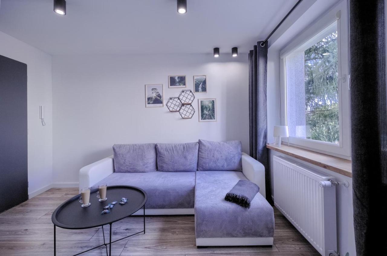 דירות פילה Niron Apartament Dabrowskiego מראה חיצוני תמונה